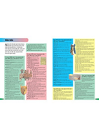 Sách Bách Khoa Tri Thức Cho Trẻ Em - Câu Hỏi Và Trả Lời (Tái Bản)