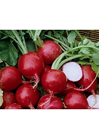Hạt giống củ cải Đỏ tròn VTS65