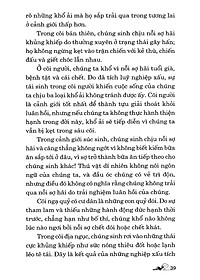 product-img-9