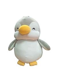 product-img-14