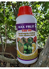 product-img-2