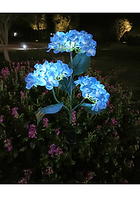 product-img-12