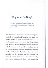 Sách The Things You Can See Only When You Slow Down: How To Be Calm In A Busy World