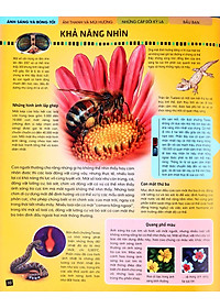 Tủ Sách Thế Giới Động Vật - Giác Quan Và Giao Tiếp (Hình Minh Họa 3D)