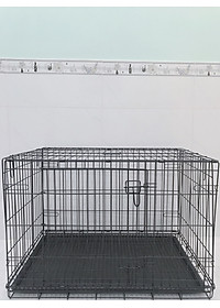 product-img-19