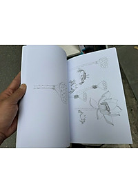 product-img-2