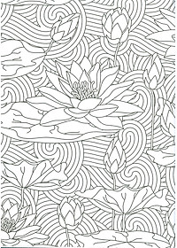 Flowers - Adults Colouring Book (Sách Tô Màu Dành Cho Người Lớn: Những Bông Hoa)