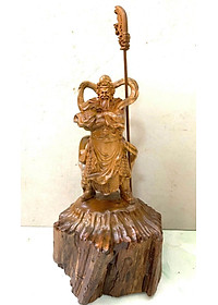 product-img-1