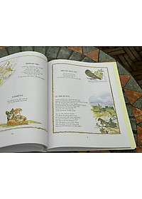 product-img-3