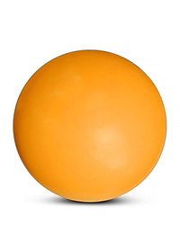 Bóng chuyền hơi 250 Gram tặng kèm kim bơm bóng