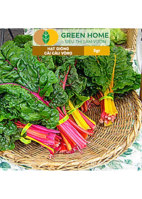 Hạt Giống Rau Cải Cầu Vồng Greenhome, Gói 5g~200 hạt, Dễ Trồng Quanh Năm, Nảy Mầm Cao, Thu Hoạch Nhanh, Năng Suất Cao R06