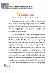 product-img-13