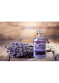 Tinh Dầu Oải Hương Treo Phòng, Treo Xe ô tô (Lavender) Chính Hãng TIDAMO Giúp Thơm Thư giản, Kháng Khuẩn Và Bảo Vệ Sức Khỏe