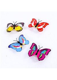 product-img-1