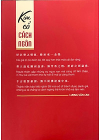 product-img-8