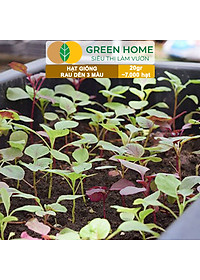 Hạt Giống Rau Dền 3 Màu Greenhome, Gói 20g~7000 hạt, Dễ Trồng Quanh Năm, Nảy Mầm Cao, Thu Hoạch Nhanh, Năng Suất Cao R15