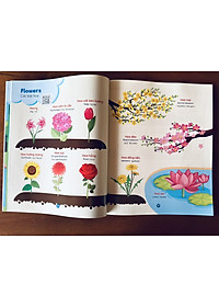 Sách - Combo 4 cuốn Tiếng Anh Đầu Đời Cho Bé (Kèm file nghe) - Giúp bé phát triển ngôn ngữ sớm, học nhanh, nhớ lâu, mở rộng vốn từ, tự tin giao tiếp