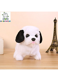 product-img-6