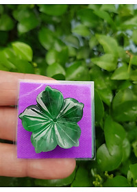 product-img-8