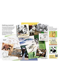 Sách tô vẽ tiếng Anh: Usborne Art Ideas Drawing Animals