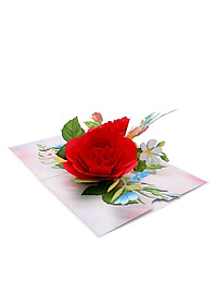 product-img-5