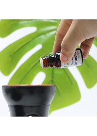 product-img-6