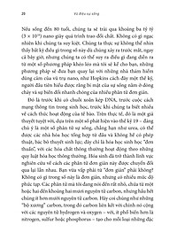 product-img-14