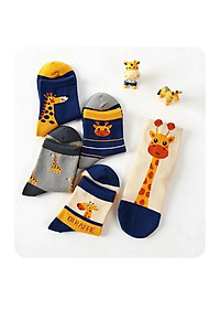 product-img-2