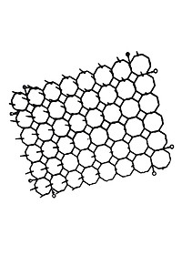 product-img-11