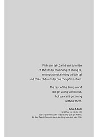 product-img-15