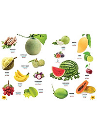 product-img-7