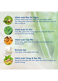 Combo Co Búi Trĩ Trimax Dân Khang (1 Viên Uống Và 1 Gel) Giảm Đau Rát Săn Se Búi Trĩ Ngừa Trĩ Tái Phát