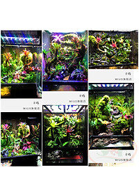product-img-5
