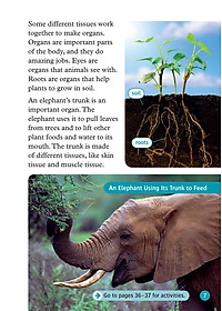 Oxford Read and Discover 6 Cells and Microbes