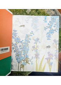 product-img-7