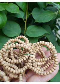 Vòng dâu tằm cho bé sơ sinh  vòng cho cả bé trai và bé gái  Ông bà xưa cho bé đeo vòng dâu tằm tốt, giúp cho bé ngủ không bị giật mình, bụ bẩm ngoan ạ