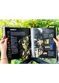 Sách Bách Khoa Toàn Thư - Đá Quý Và Khoáng Sản - Bách Khoa Toàn Thư Bằng Hình Ảnh, Tổng Hợp Kiến Thức Hơn 1000 Mẫu Vật Đá Quý Và Khoáng Sản Trên Thế Giới - Á Châu Books, Bìa Cứng, In Màu