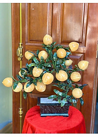 product-img-4
