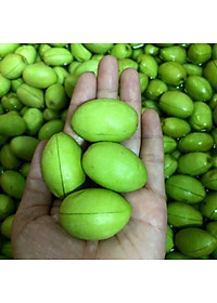 Cây cà na thái giống - Cà na tứ quý - cây ăn quả + tặng phân bón cho cây