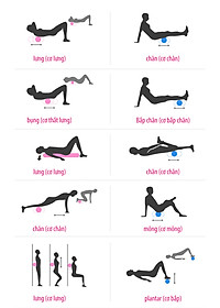 BG Con Lăn Massage Ống Lăn Dãn Cơ Foam Roller  Tập Gym, Yoga, Thể Hình,Đai Đeo Huấn Luyện Tập Đá Bóng,Thang dây tập luyện thể thao thể lực và tốc độ(hàng nhập khẩu)