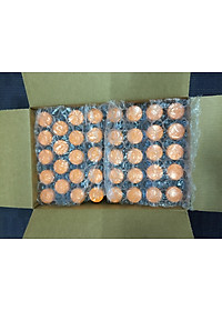 product-img-6