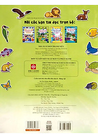 product-img-4