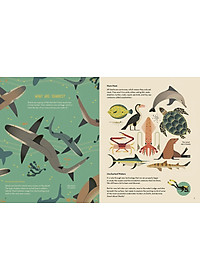 Sách tiếng Anh - Smart About Sharks