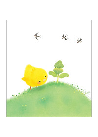 product-img-13