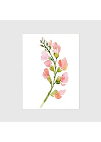 product-img-15