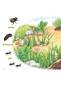 Cuộc Phiêu Lưu Của Mèo Tí Hon - Trong Lòng Đất