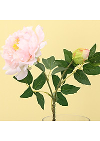 product-img-13