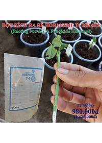 Bột Kích Ra Rễ Israel cho cây Thân Gỗ Hormoril T6 (T with Fungicide)