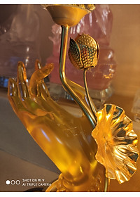 product-img-2