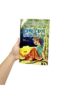 product-img-6